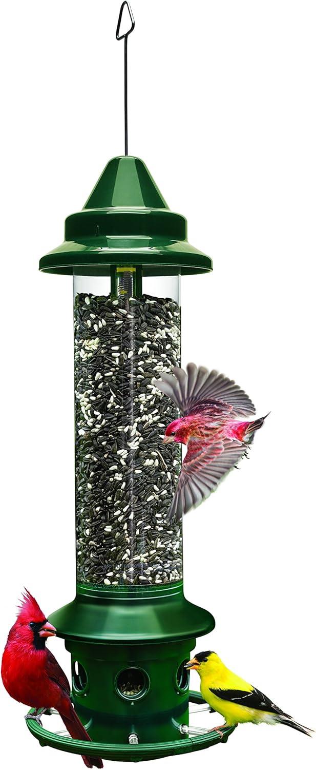Best Bird Feeder – Squirrel Buster Plus Squirrel-proof Review