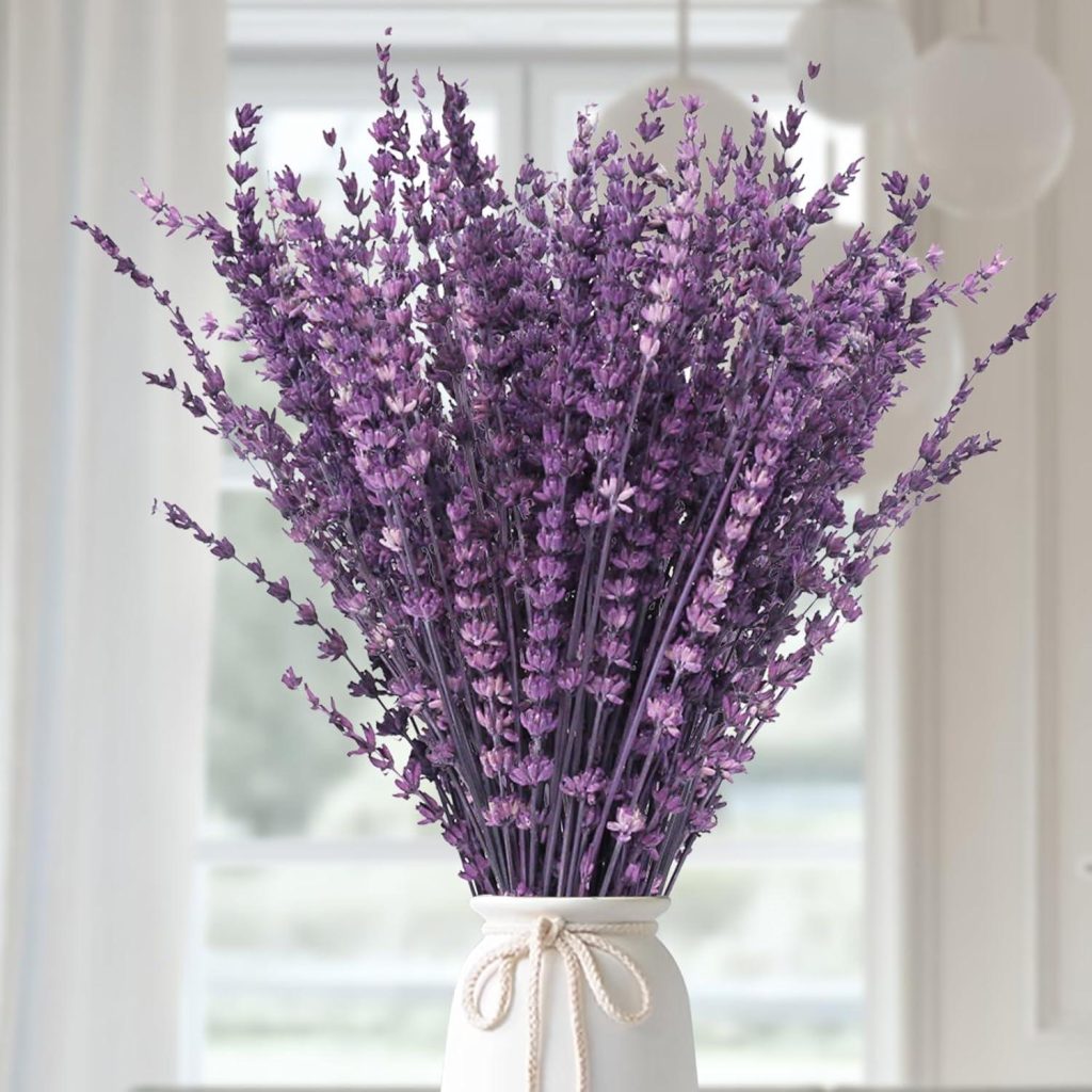 Best Home Décor – Dried Purple Lavender Flowers Bundle Review