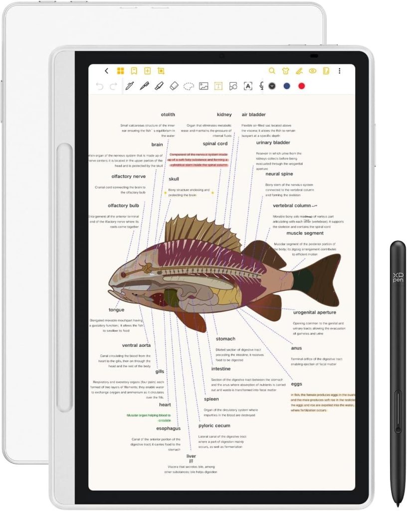 Best Tech – XPPen 3 in 1 Color Digital Notebook Review