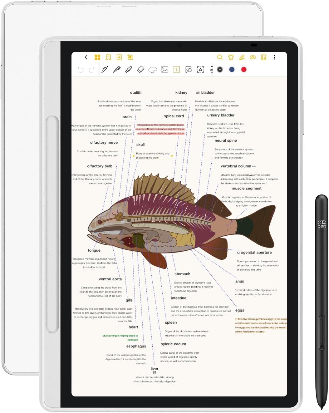 Best Tech – XPPen 3 in 1 Color Digital Notebook Review