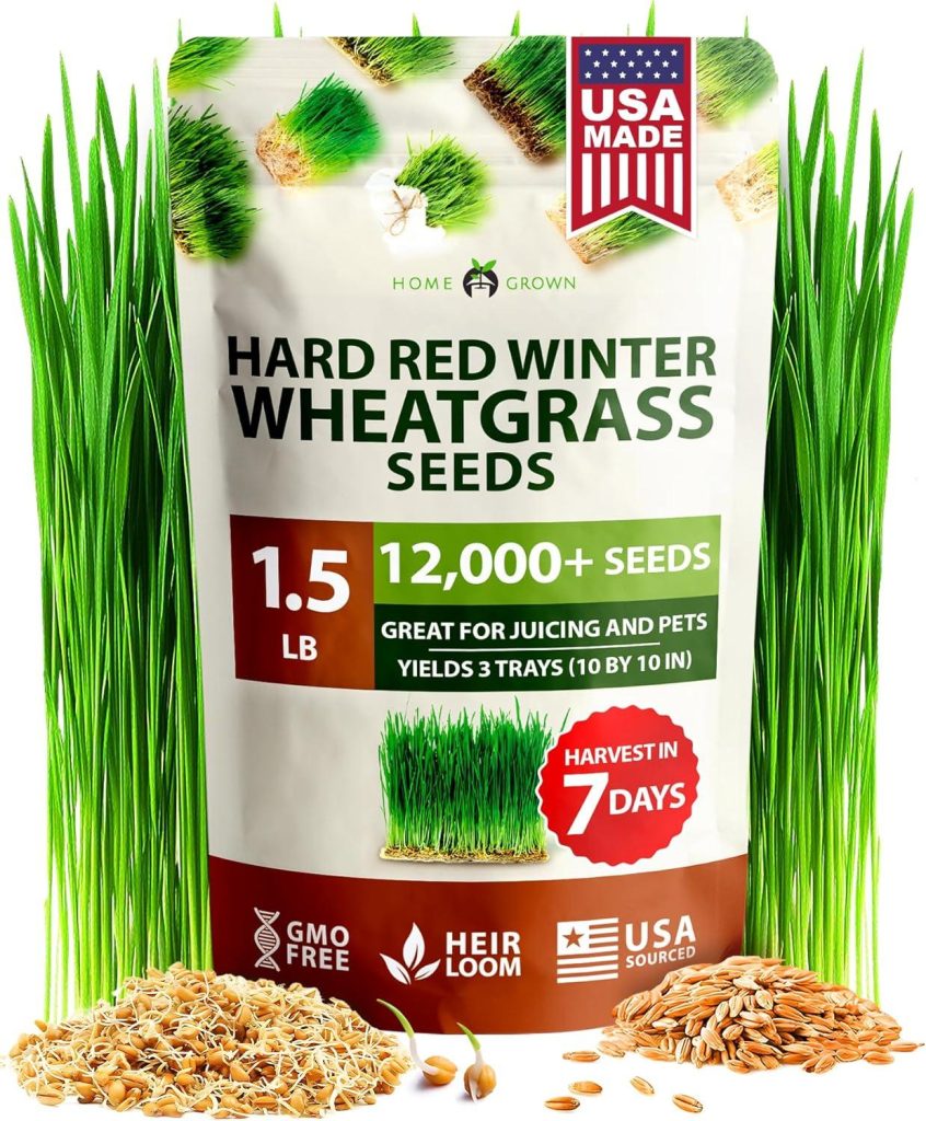 Best Microgreens – HOME GROWN 12,000+ Wheatgrass Seeds Bulk Pack Review