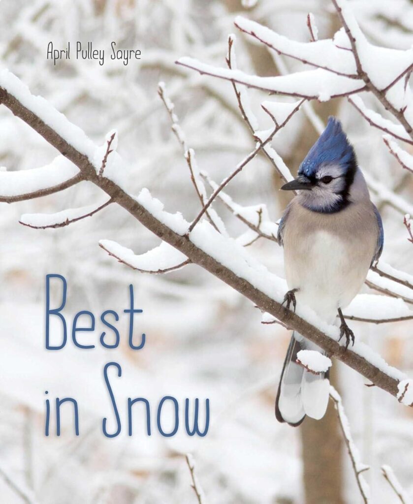 Best Children’s Book – Best in Snow (Weather Walks) Review