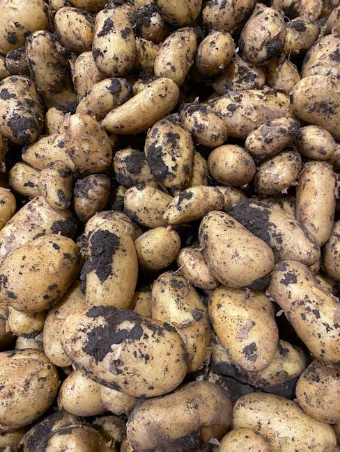Best Potatoes – %%product_title%% Review
