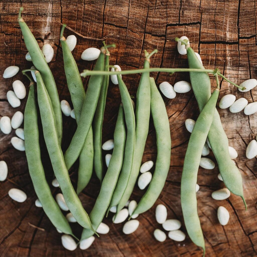 Best Garden Seeds – Mountaineer White Half-Runner Bean – 50 Seeds Review