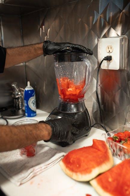 Best Hand Blender – Oster Swiss Whip Blender Review
