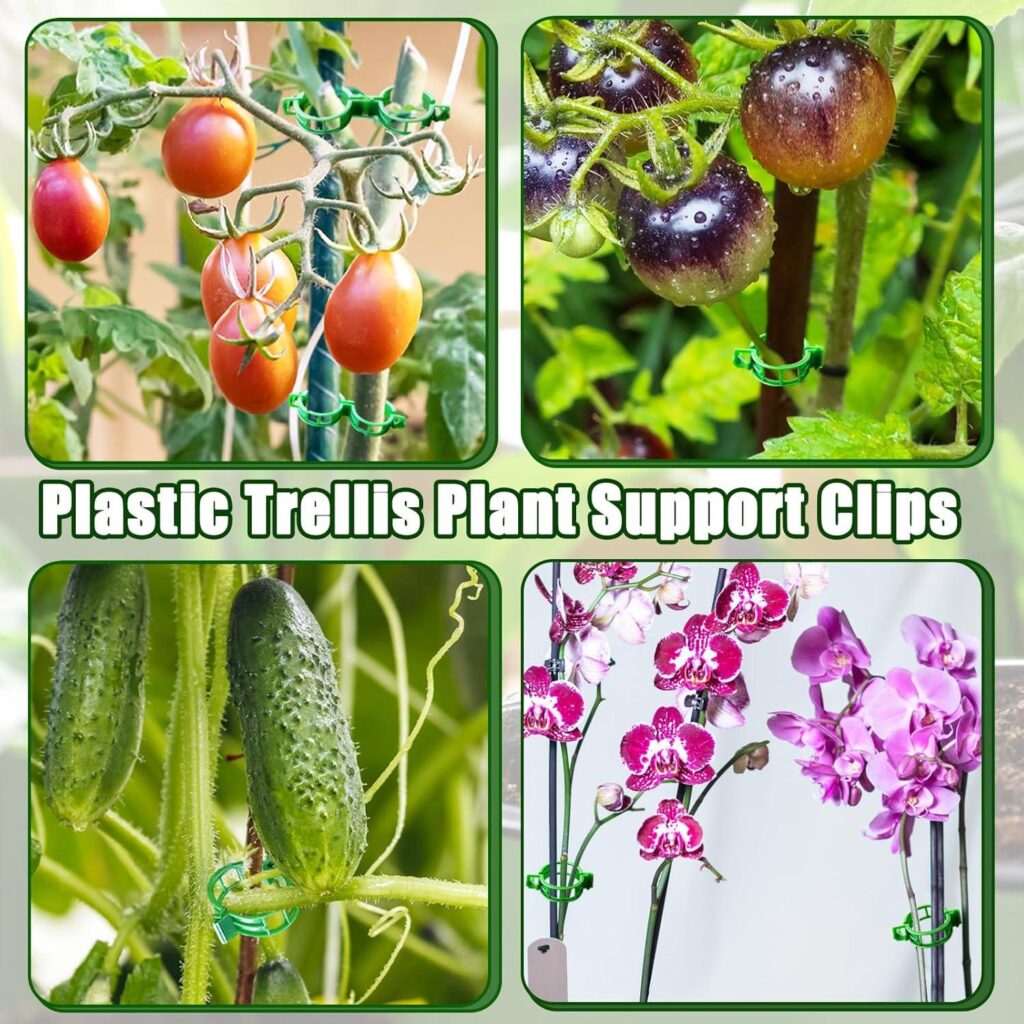 Best Garden Clips – 400 Pcs Plastic Trellis Plant Support Clips Review