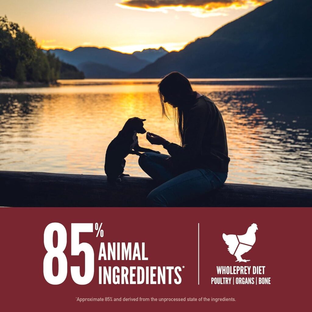 Best Dog Food – ORIJEN Grain Free High Protein Small Breed Review