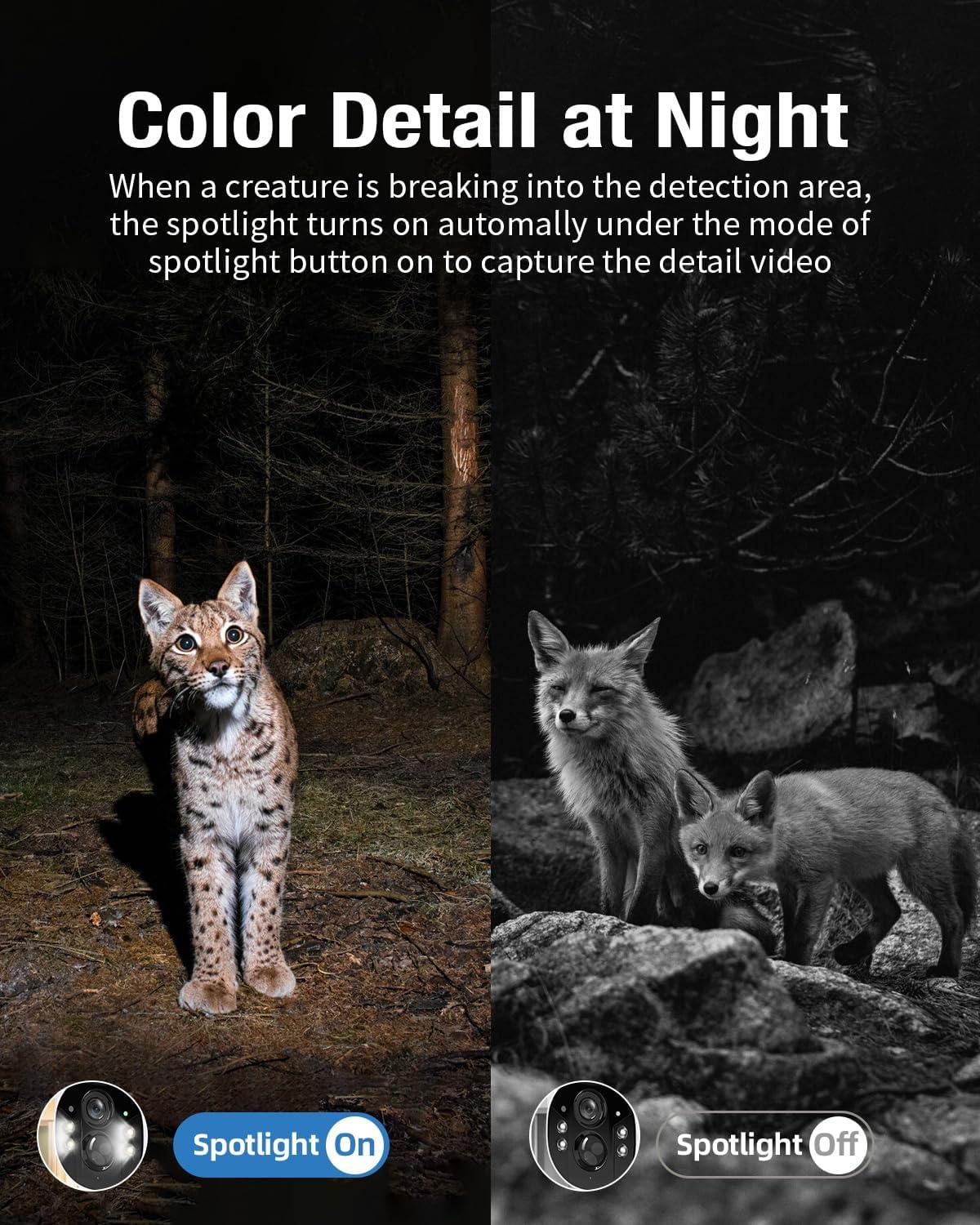Best Outdoor Camera – 4G LTE Cellular Trail Camera Review