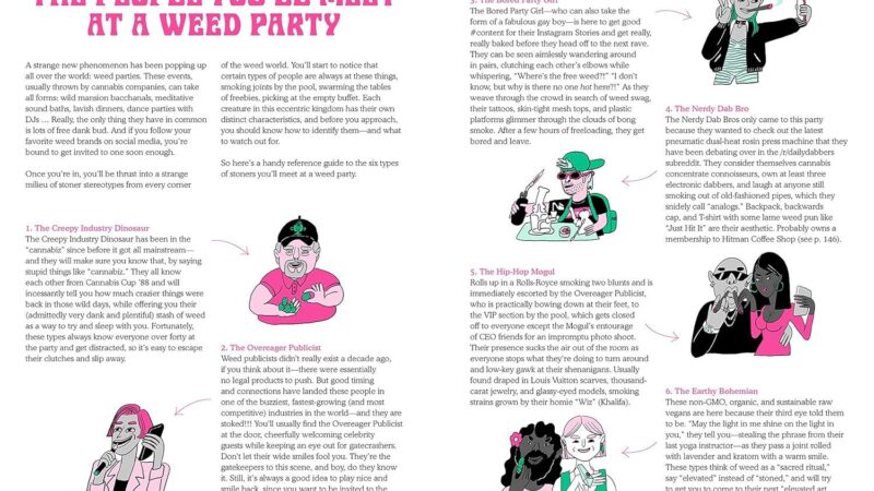 Best Cannabis Book – Weed: Everything You Want To Know But Are Always Too Stoned To Ask Review