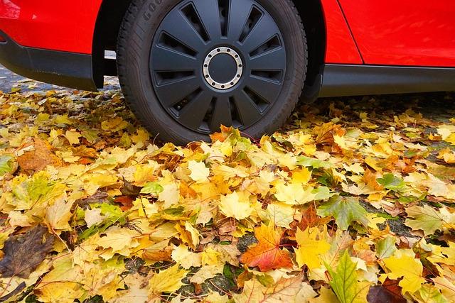 What Are the Best All-Season Tires for Safer Year-Round Driving